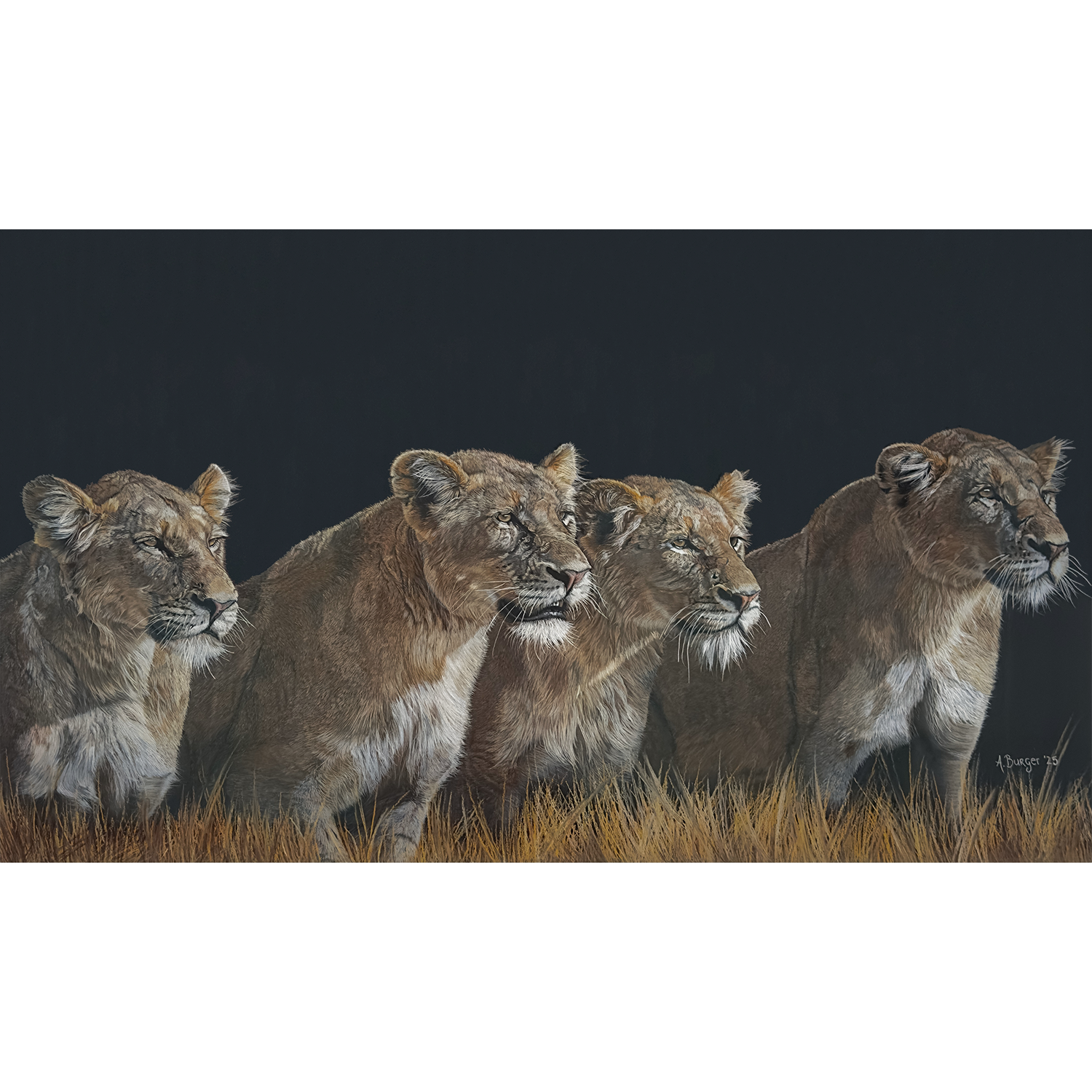 "Daughters of the Grassland"