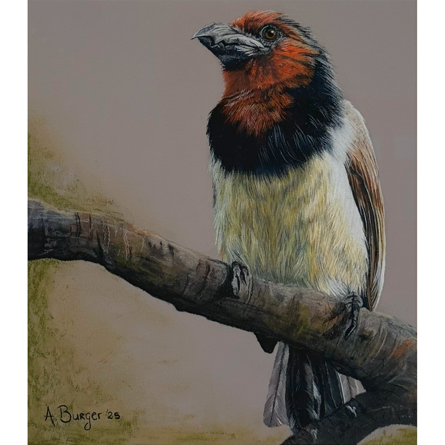 "The Watcher of Whispering Trees"